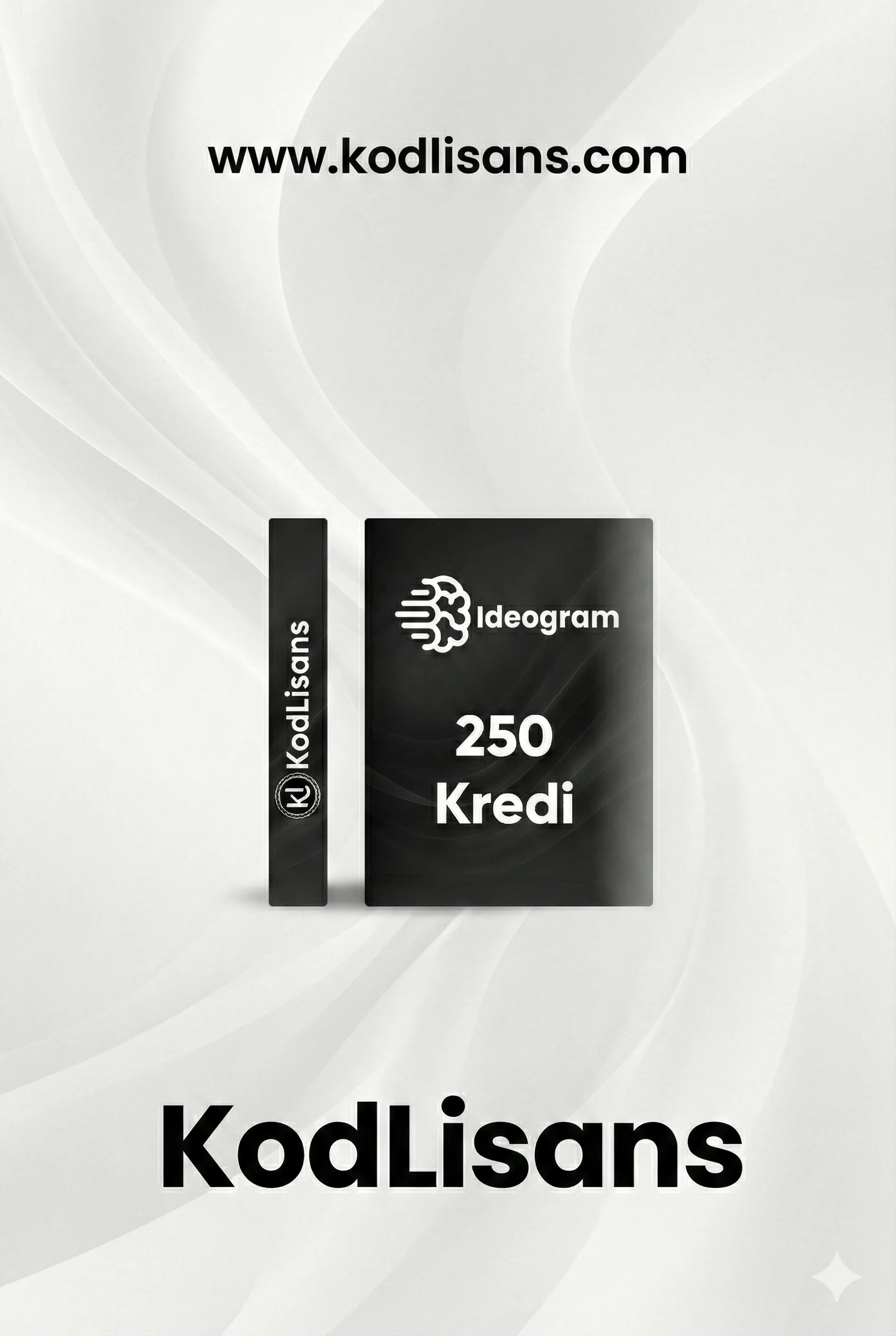 Ideogram 250 Kredi Kişisel 1 Ay