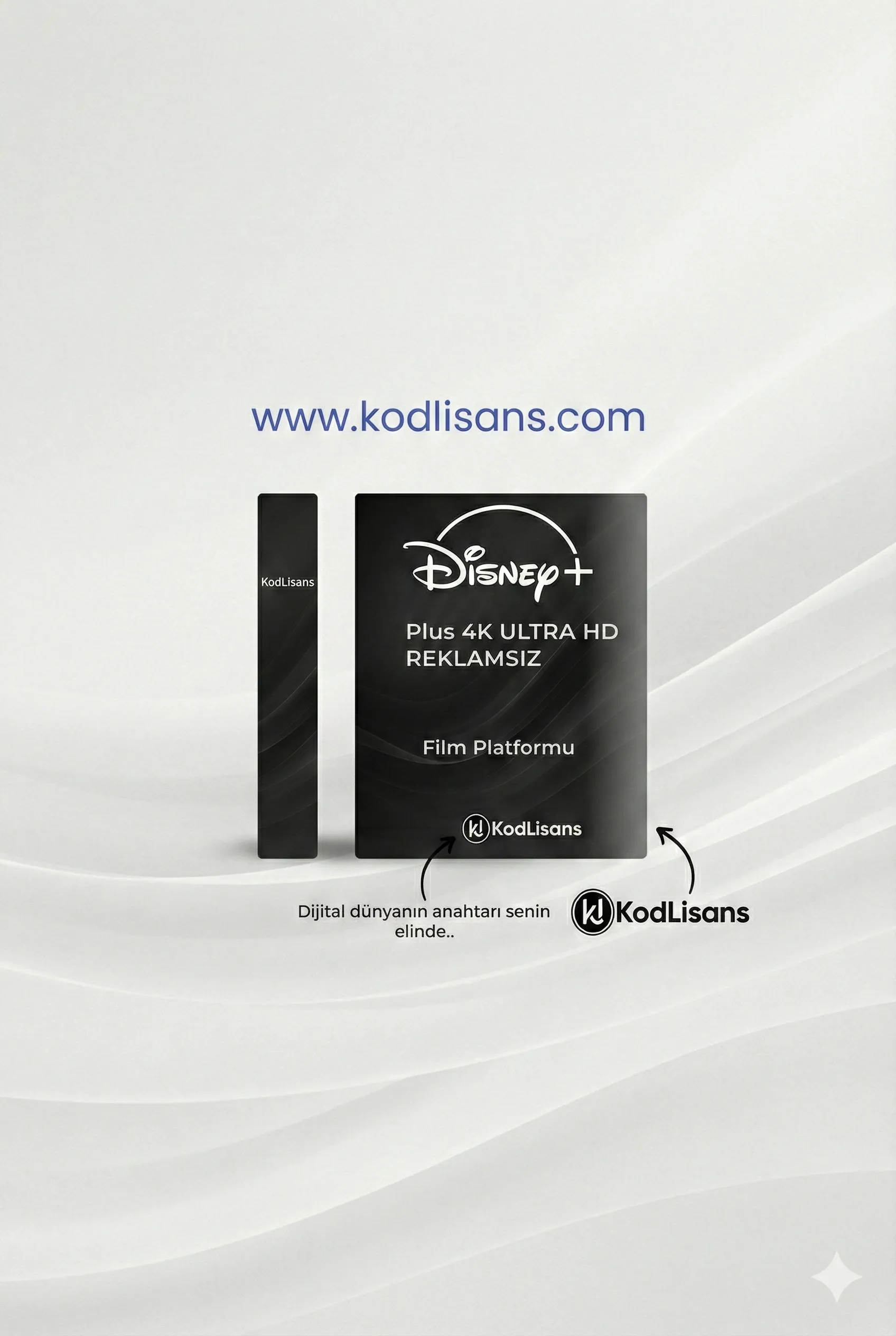 Disney Plus Reklamsız 4K UHD 1 Ay