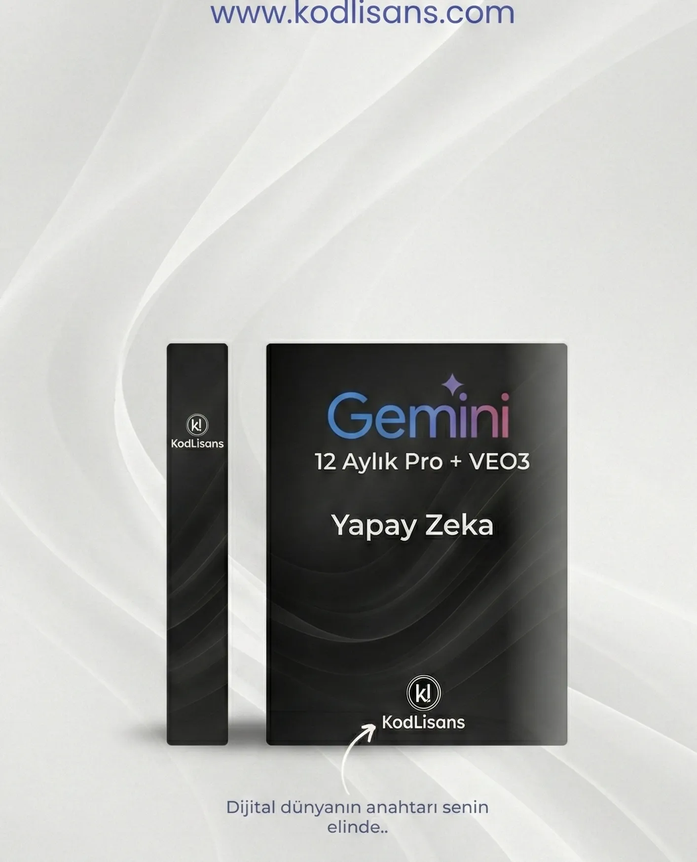 Gemini Pro Veo 3.1 12 Ay 